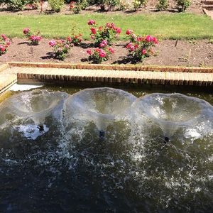 Meet your Posher, Amelia